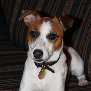 Meet your Posher, Brenda